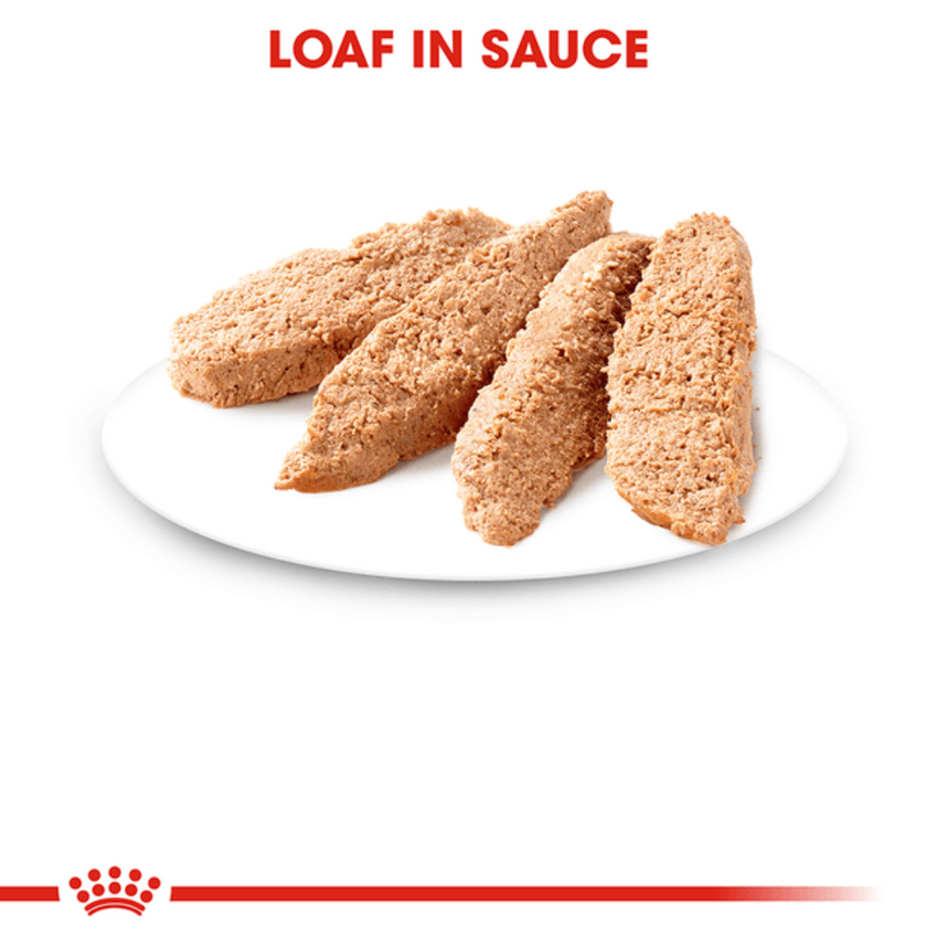 Royal Canin Instinctive Adult Cat Loaf in Gravy Food, 85 Grams, Pack of 12 Sachet