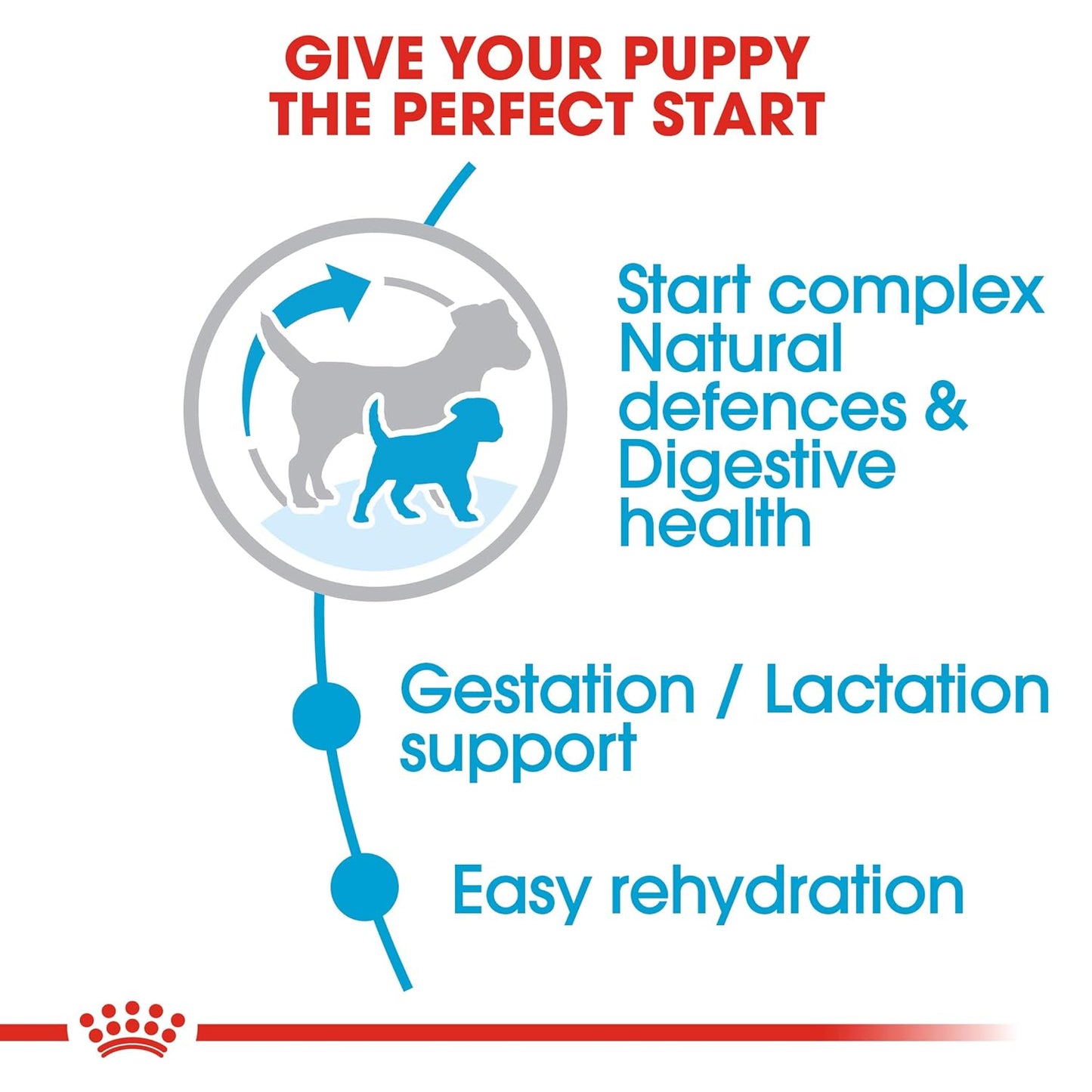 Royal Canin Starter Mini, Mother & Babydog Dry Food, 8 KG Pack, Easy Rehydration