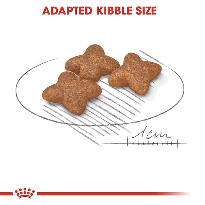Royal Canin, Mini Adult Dry Dog Food, 2 KG, Supports Weight Management