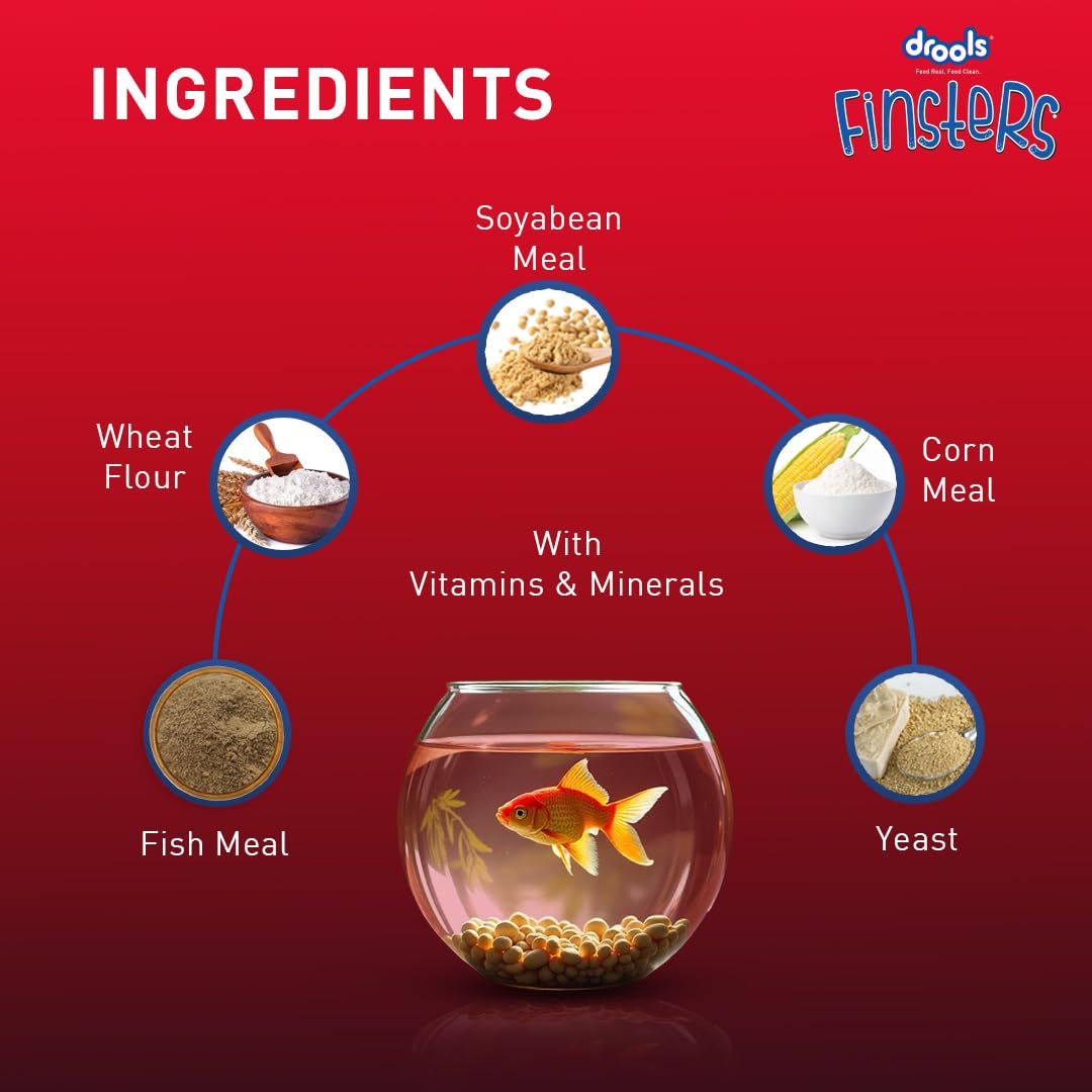 Drools Finsters Tropical Fish Food 1 MM 200 Gms