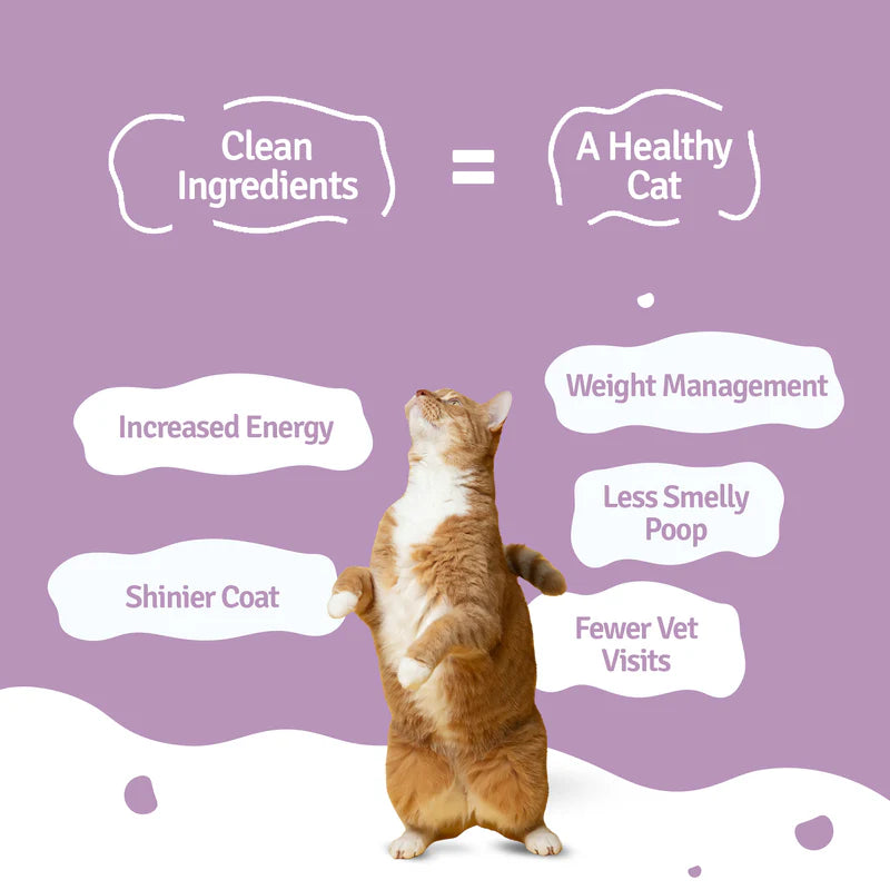 BLEP Slurpy Sardines Fresh Cat Food - 100 GMs - Pack of 3