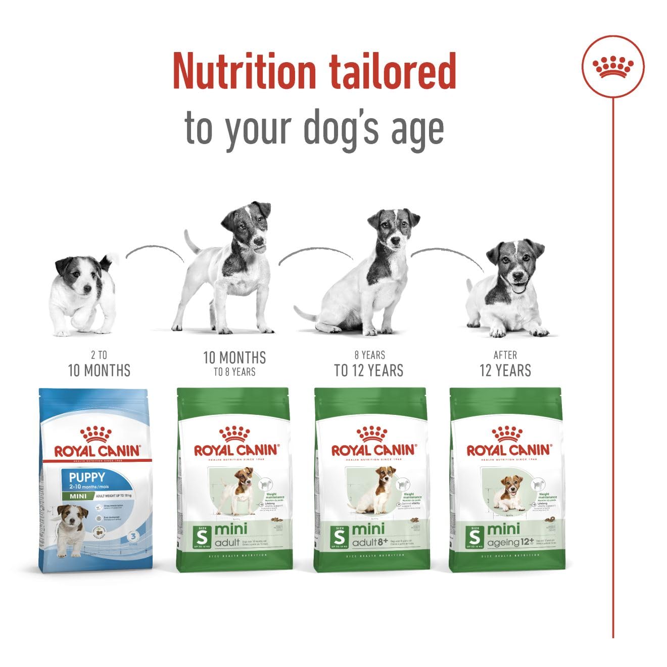 Royal Canin, Mini Adult Dry Dog Food, 800 Gm, Supports Weight Management