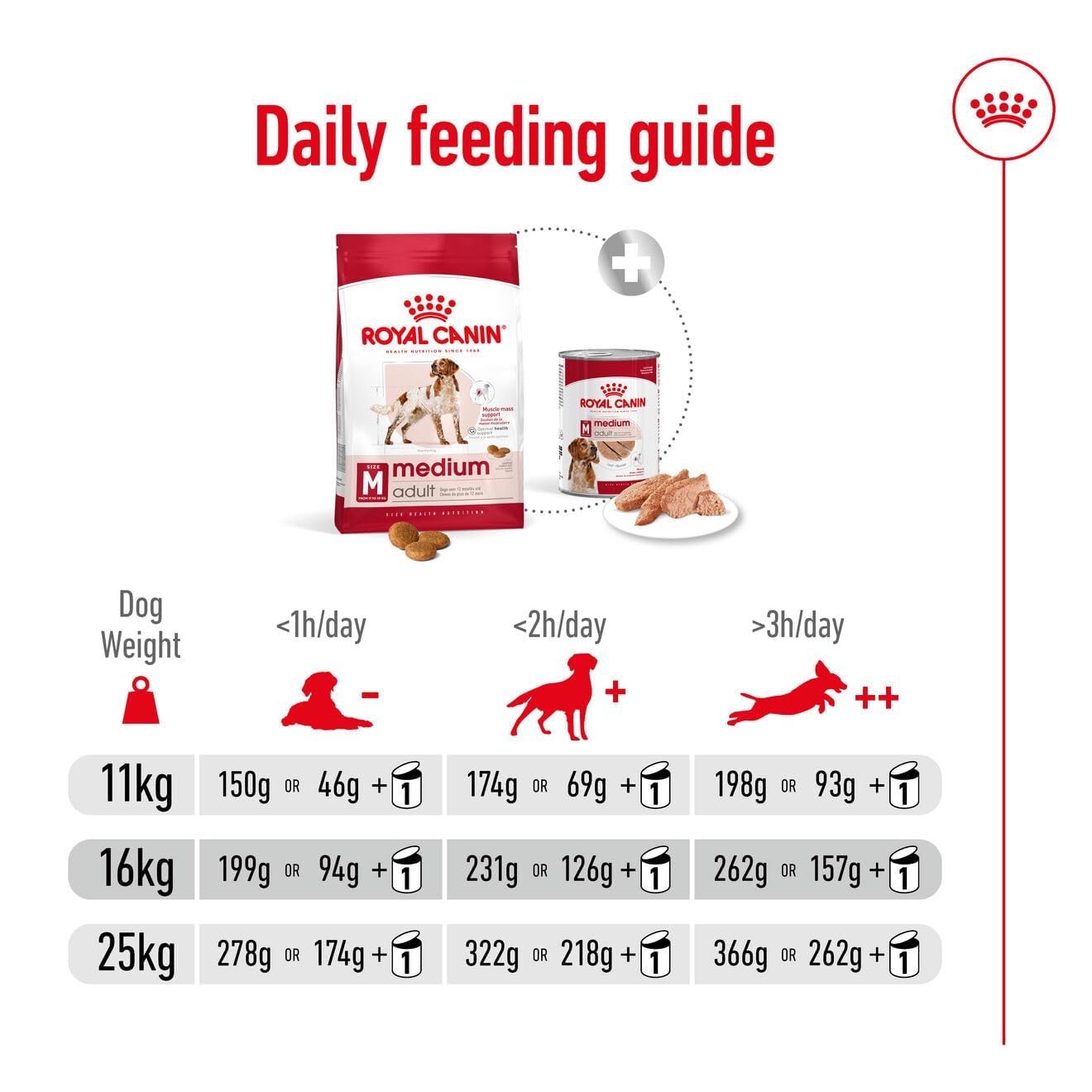 Royal Canin, Medium Adult Dog Food, 4 KG, Dry Food, Provides Muscle Mass