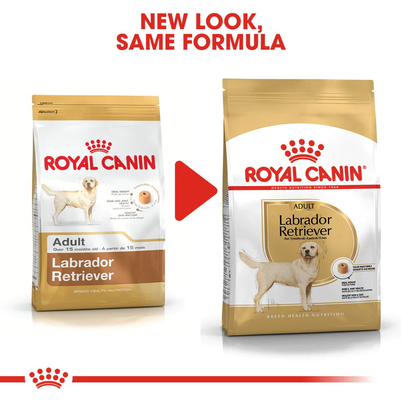 Royal Canin Labrador Retriever Adult Food, 1.2 Kg, Dry Food, Cardiac Function