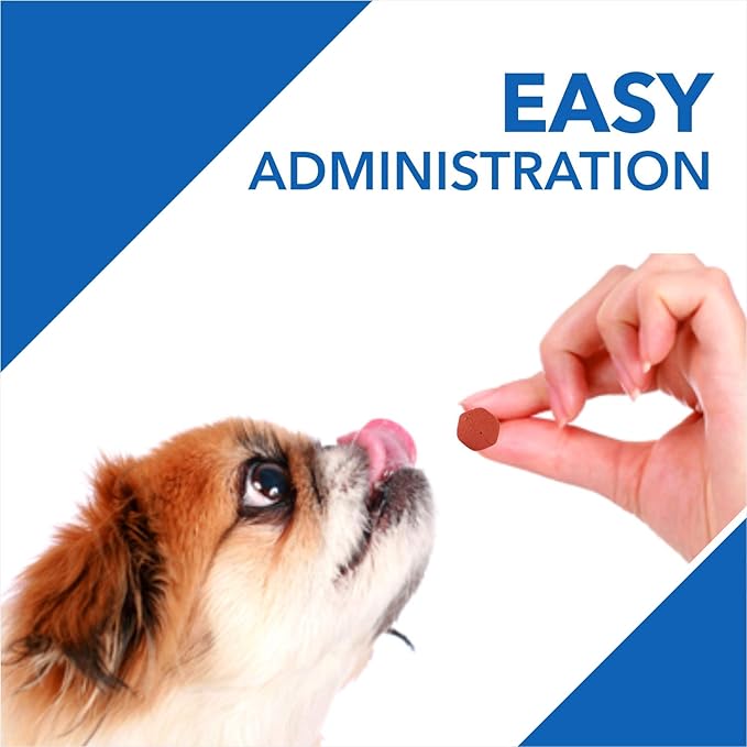 Drools Absolute Dog Vitamin Supplement Tablets 400g, 110 Pieces, Chicken Flavour