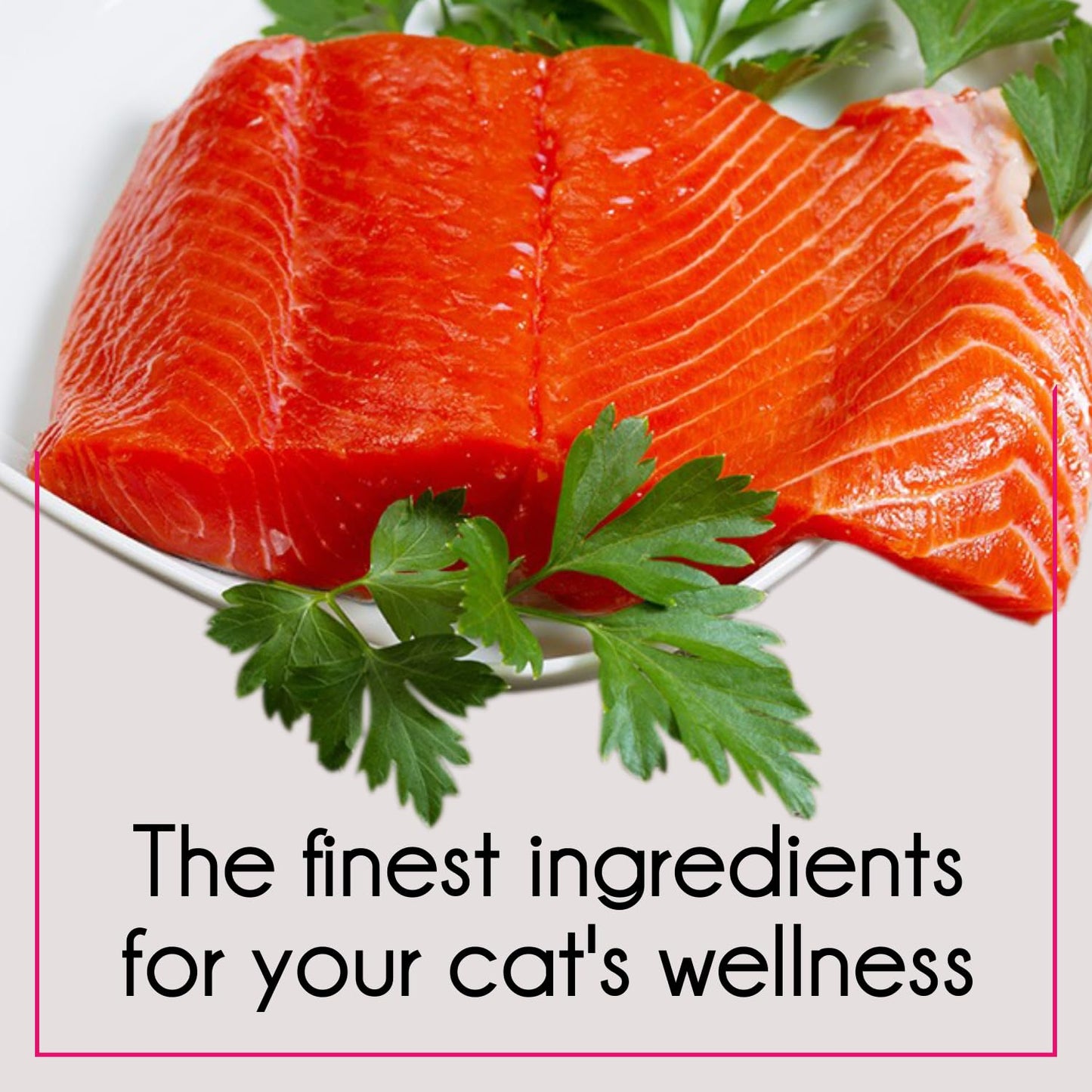 Purepet Adult Dry Cat Food, 2.8 KG Pack, Tuna and Salmon Flavour, Hair Ball Protection