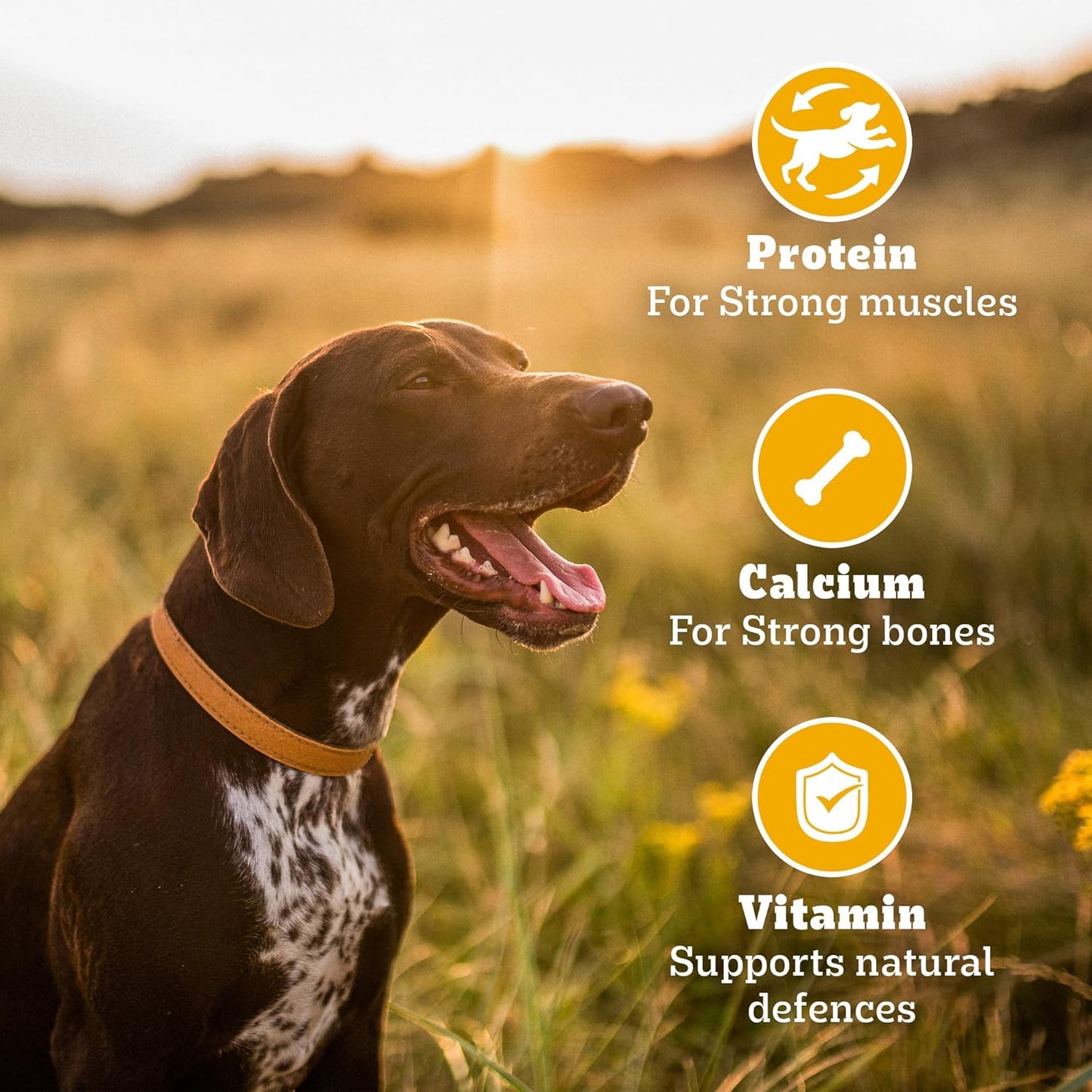 Pedigree Biscrok Biscuits - Dog Treats, Chicken Flavour, 500 GMs