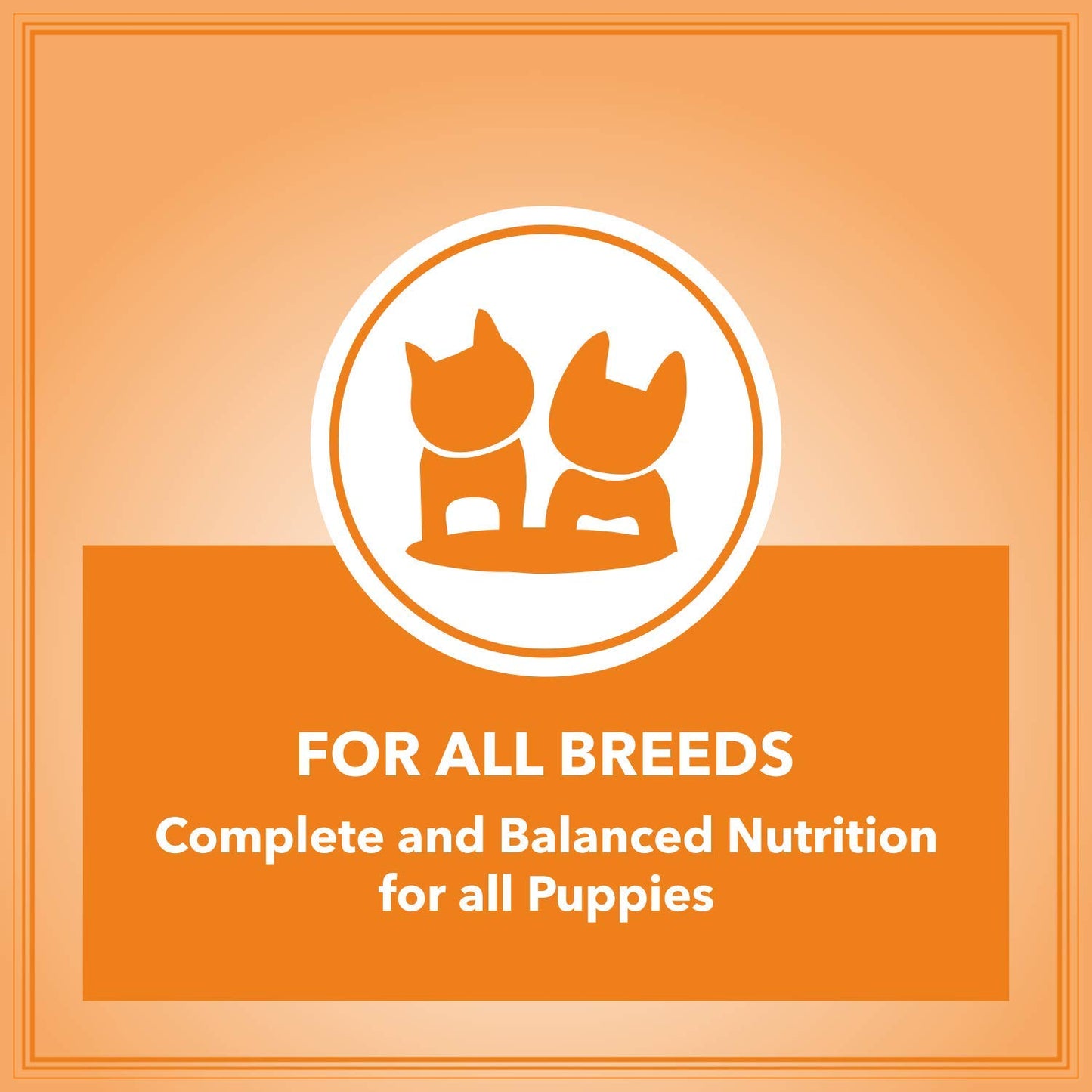 Let's Bite Active Puppy Dry Dog Food, 10 KG