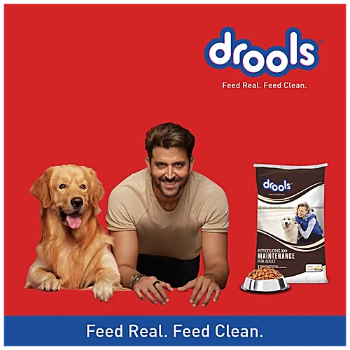 Drools Maintenance Adult Dog Dry Food, 20 KG Pack