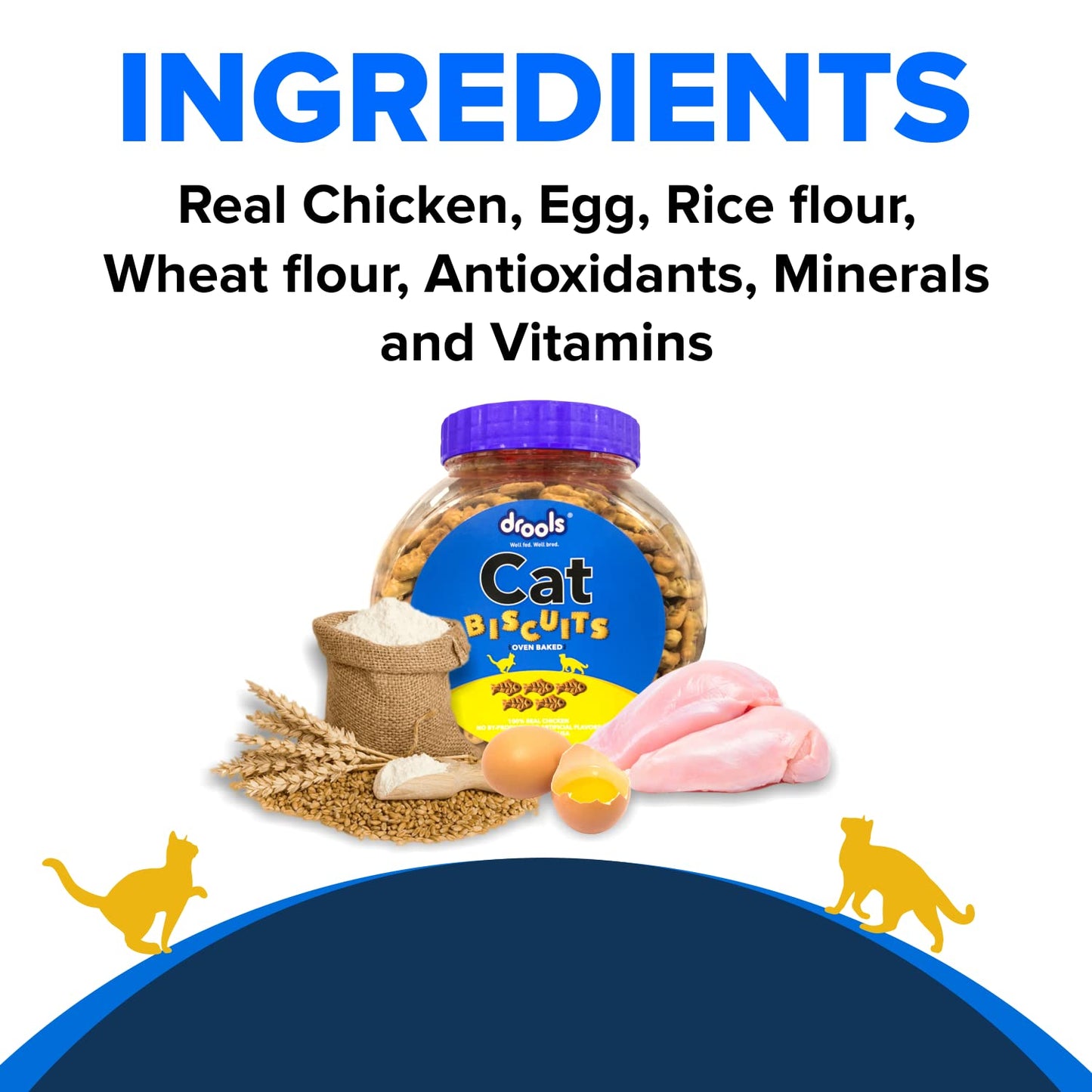 Drools Adult Cat Treat Biscuits 400g Jar, Real Chicken Flavour