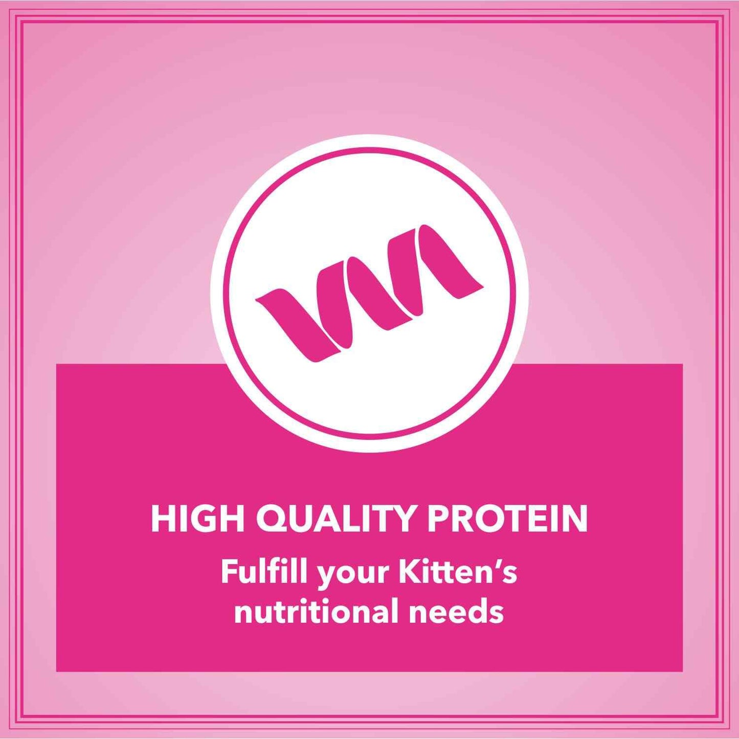 Let's Bite Active Kitten Dry Cat Food, 1 KG