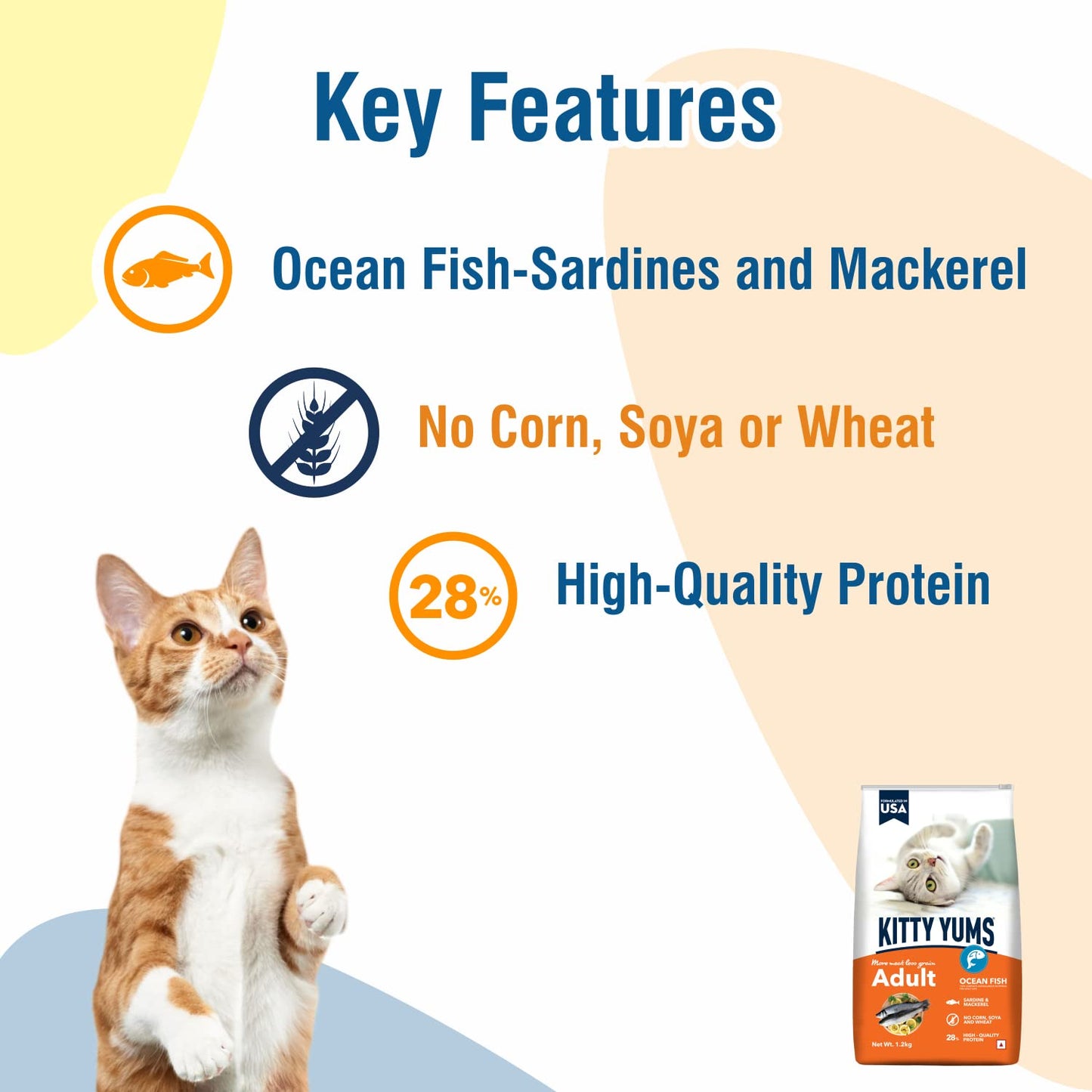 Kitty YUMS Adult (+1 Year) Dry Cat Food, 20 KG Pack, Ocean Fish Flavour