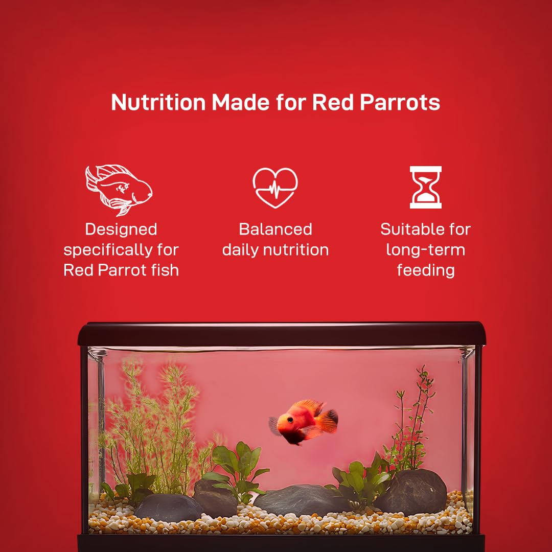 Drools Finsters Red Parrot Fish Food, 100 Gms Pouch, Colour-Focused Nutrition
