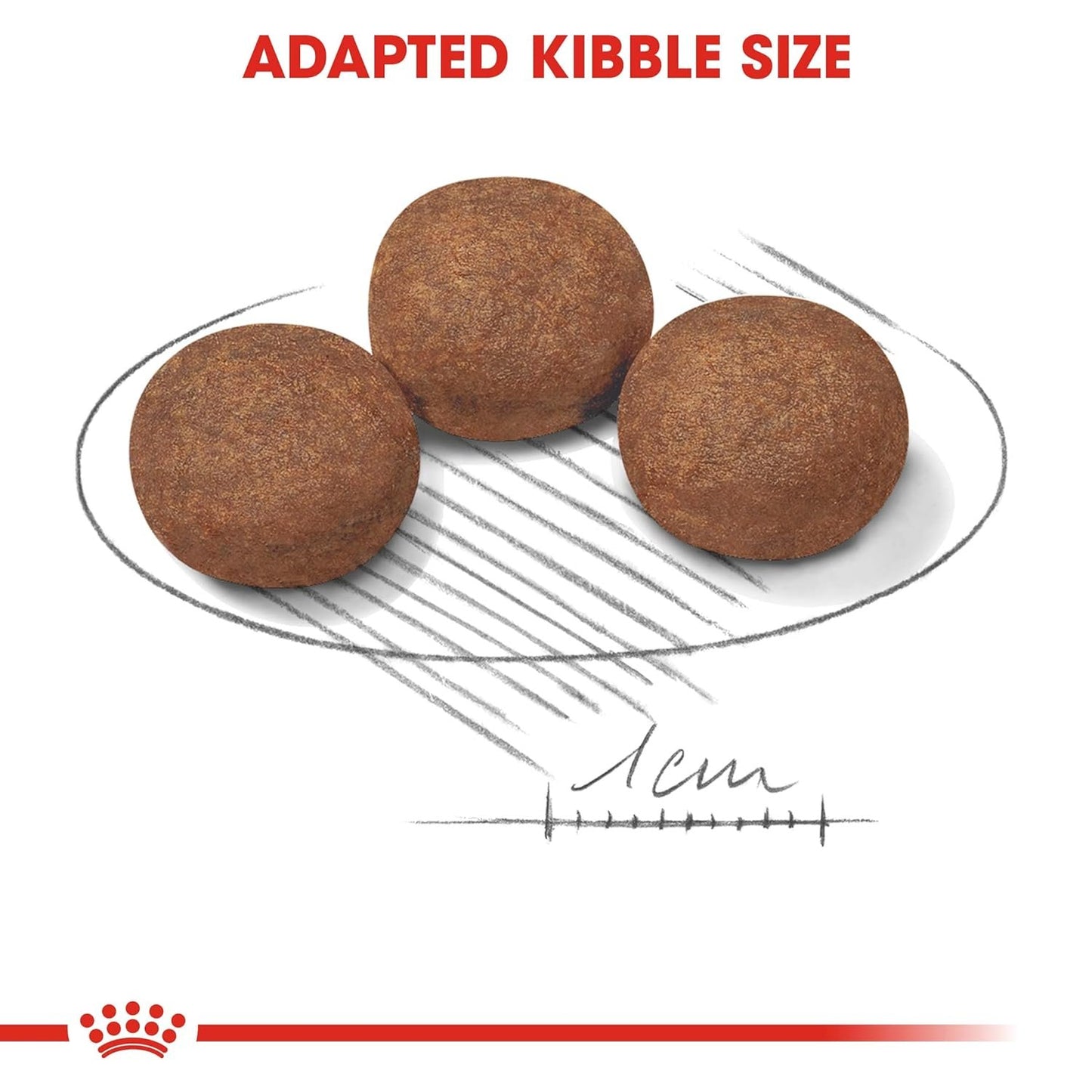 Royal Canin, Medium Puppy Food, 2 Kg, Dry Food, Supports Digestive Health