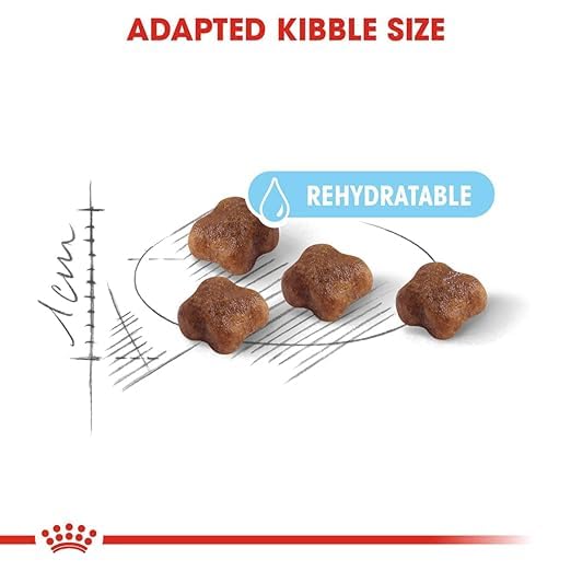 Royal Canin Mother & Babycat Food, 2 KG Pack, Supports Immunity & Digestive Health