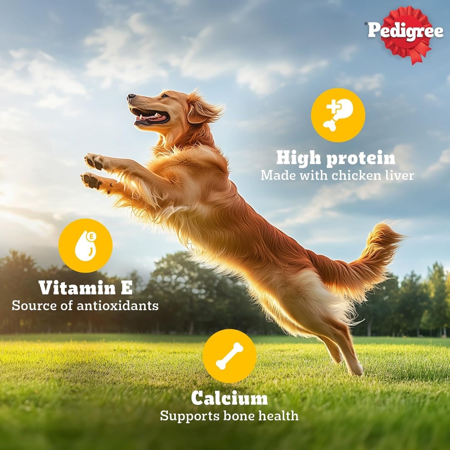Pedigree Rodeo Dog Treats, Chicken Flavour, 123 GMs, Low-Fat Treats