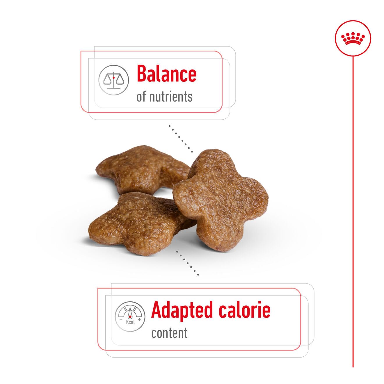 Royal Canin, Mini Adult Dry Dog Food for Senior Dogs (8+ Years), 4 kg