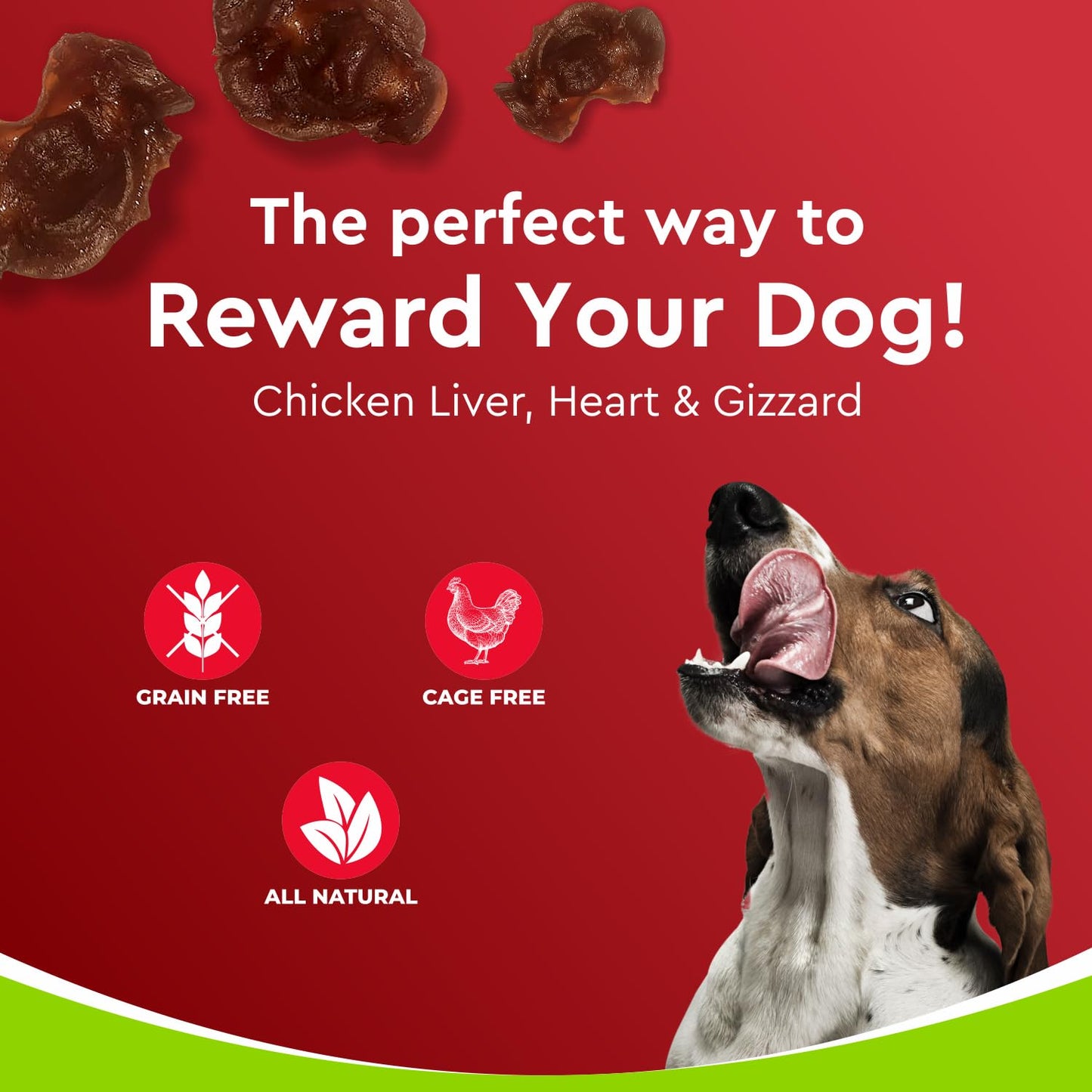 Drools Puppy & Adult Dog Treat Real Chicken Flavour, Dehydrated Chews Giblets, 70Gms Pack
