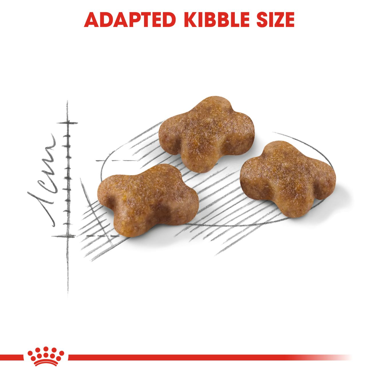 Royal Canin Kitten Dry Cat Food, 1.2 KG Pack