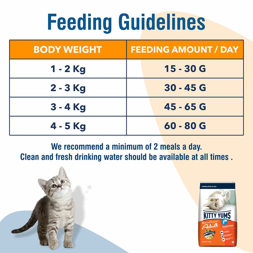 Kitty YUMS Adult (+1 Year) Dry Cat Food, 3 KG Pack, Ocean Fish Flavour