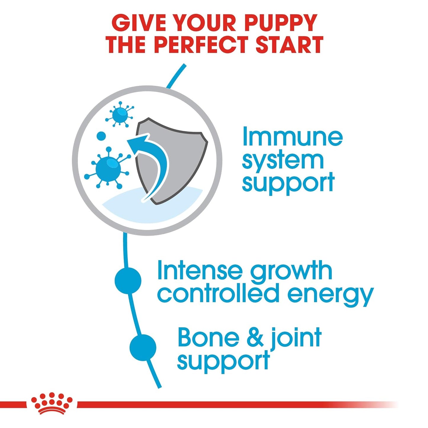 Royal Canin Giant Puppy Dog Dry Food, 1 KG Pack, Supports Immune System