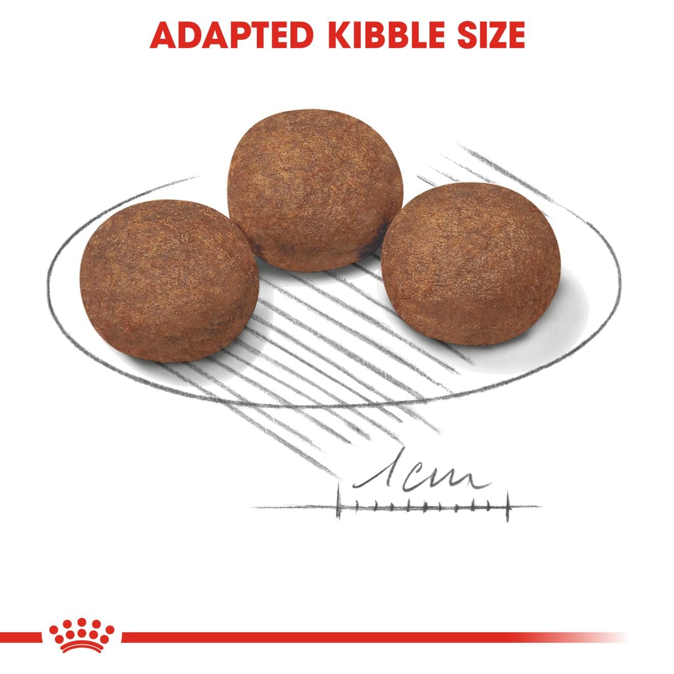 Royal Canin, Medium Puppy Food, 1 Kg, Dry Food, Supports Digestive Health