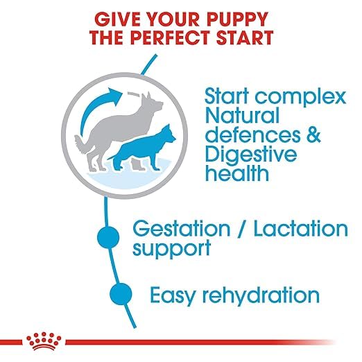 Royal Canin, Maxi Starter Mother & Baby dog Food, 2.5 Kg, Dry Food