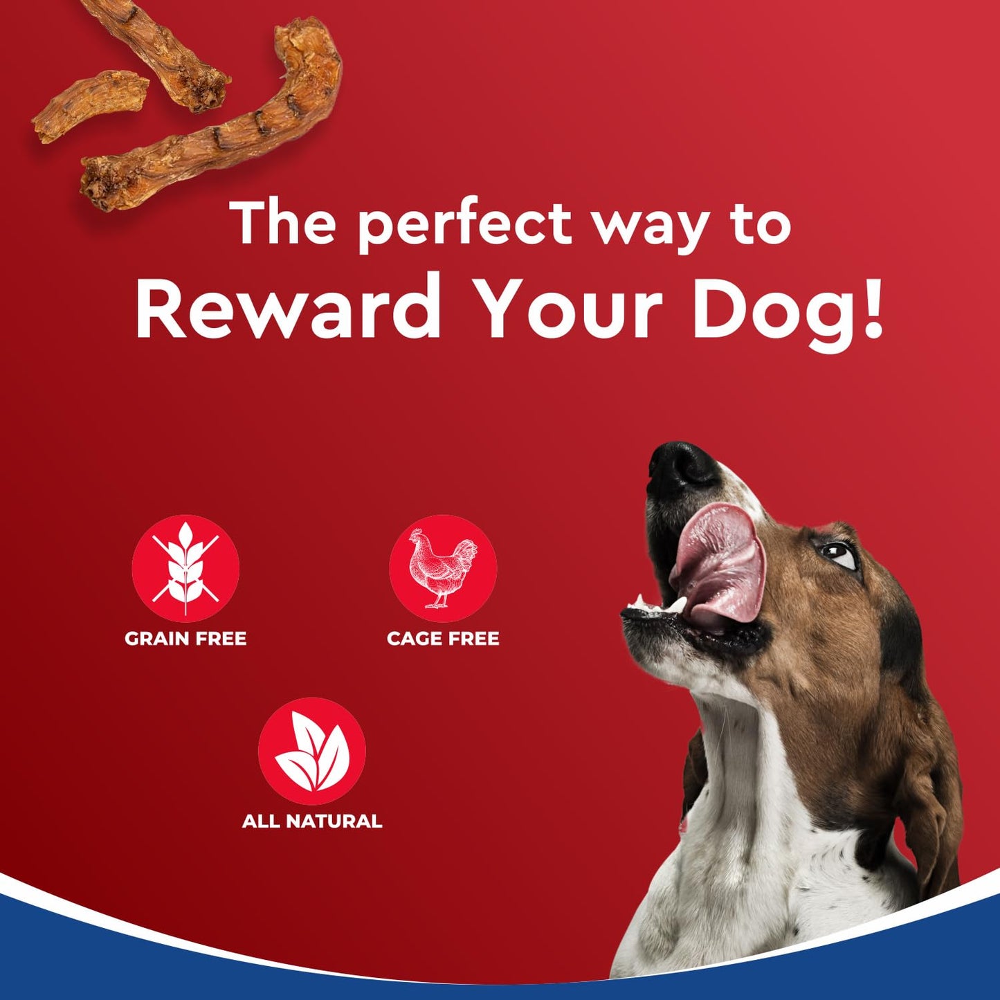 Drools Puppy & Adult Dog Treat Real Chicken Flavour, Dehydrated Chews Neck, 70Gms Pack