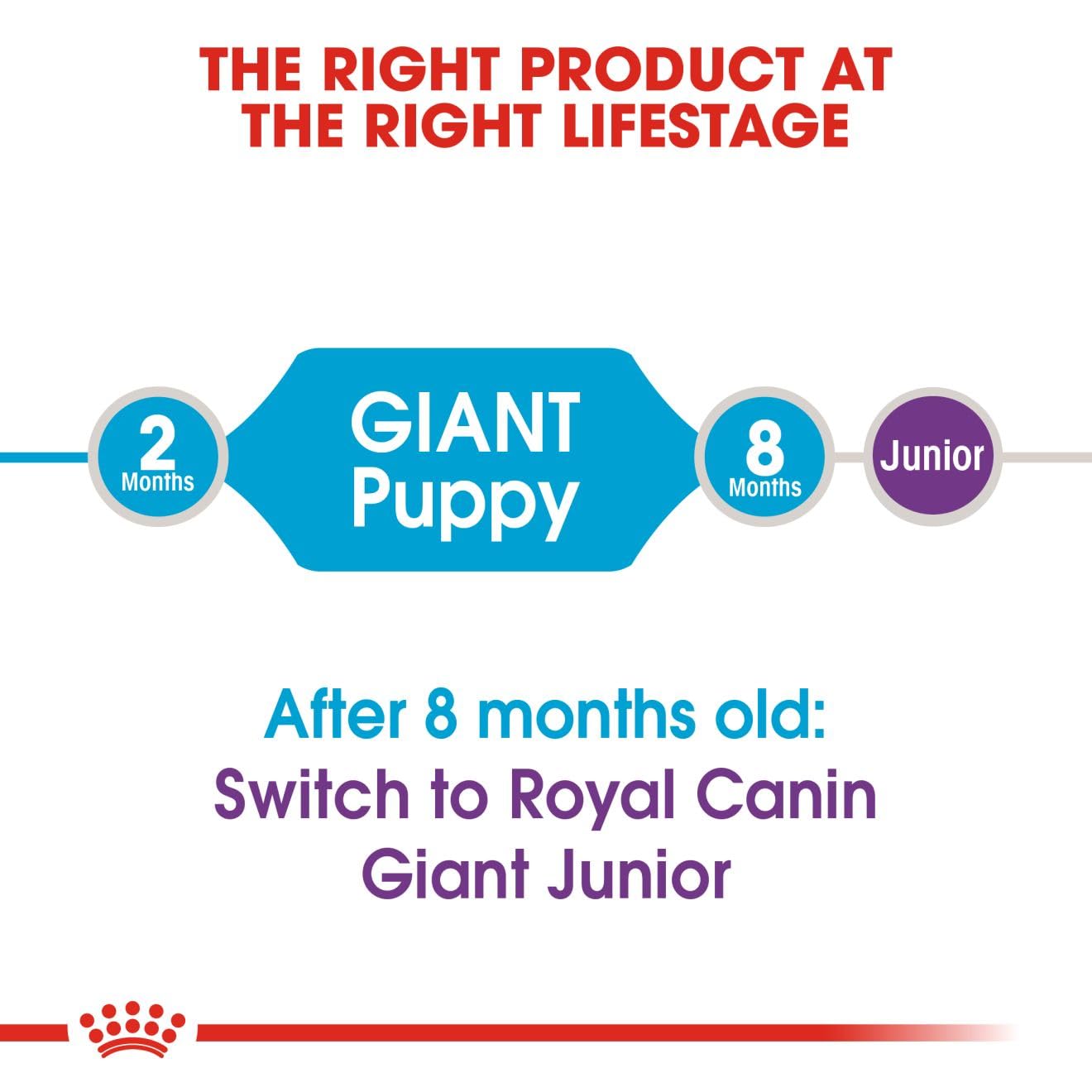 Royal Canin Giant Puppy Dog Dry Food, 15 KG Pack, Supports Immune System