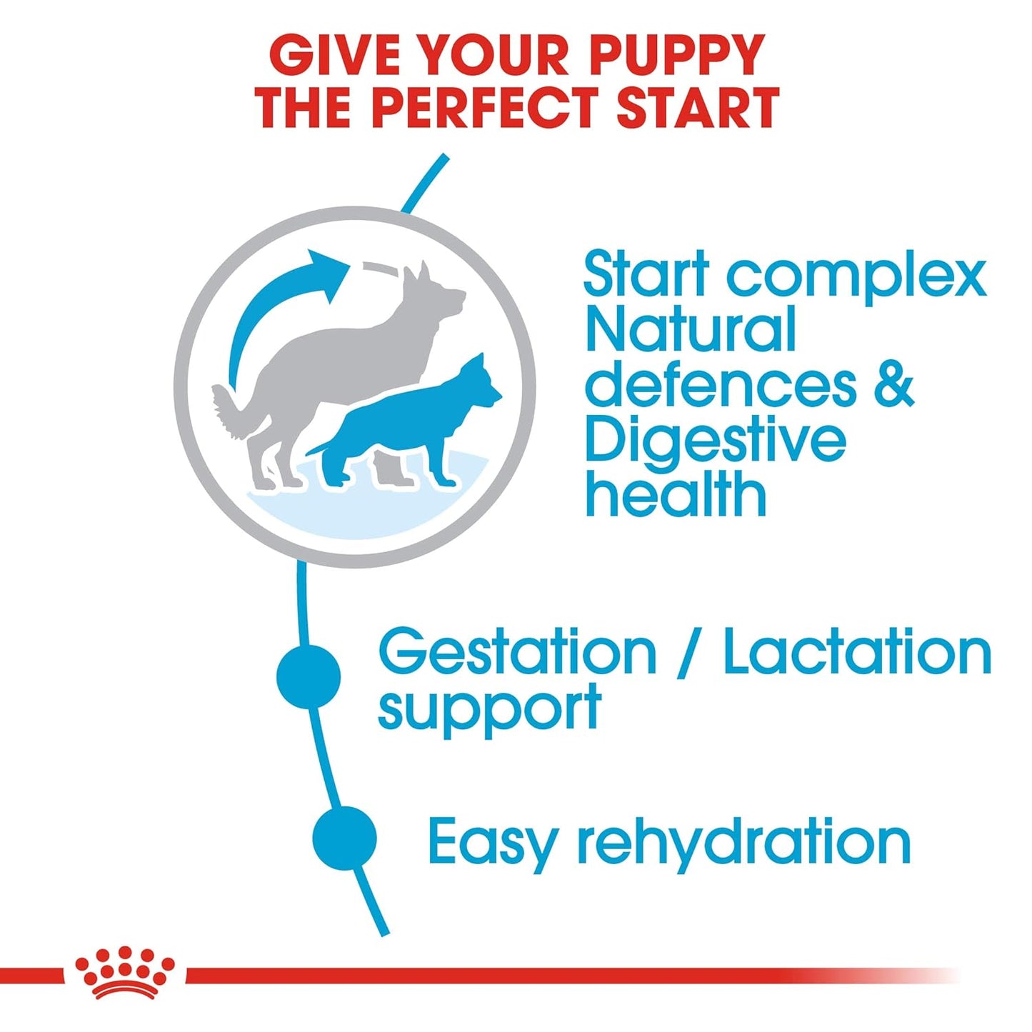 Royal Canin Maxi Starter Mother & Baby dog Food, 15 Kg, Dry Food