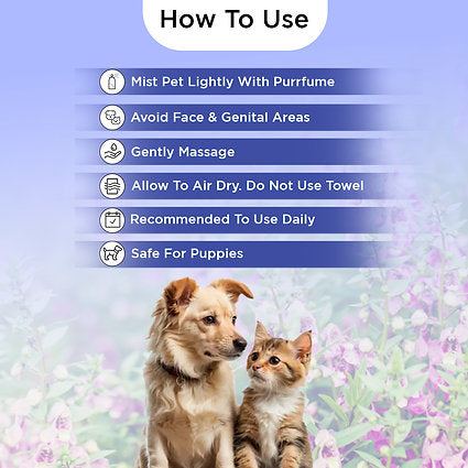 FluffyTails Purrfume, Musk Fragrance, 200 ML