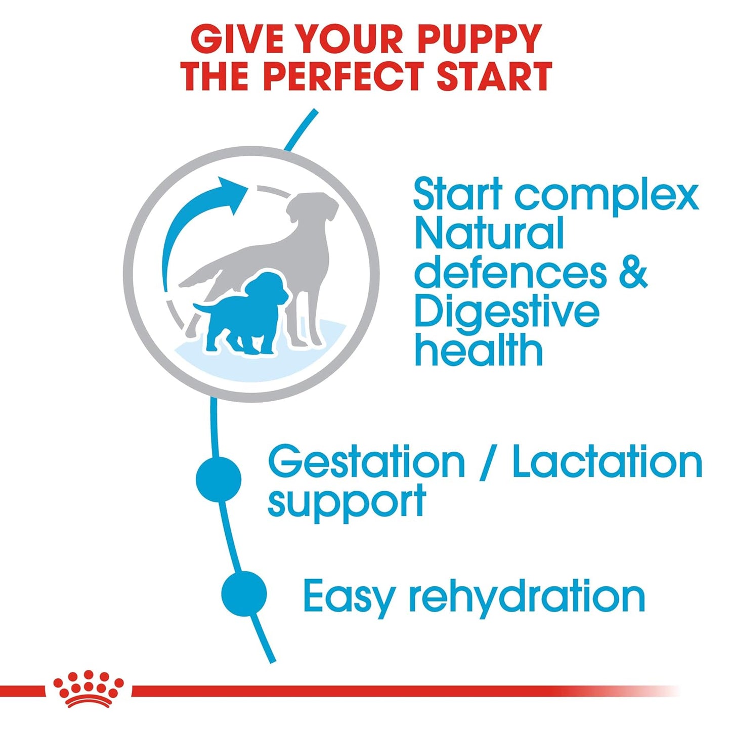 Royal Canin Medium Starter, Mother & Baby dog Food, 1 Kg, Dry Food