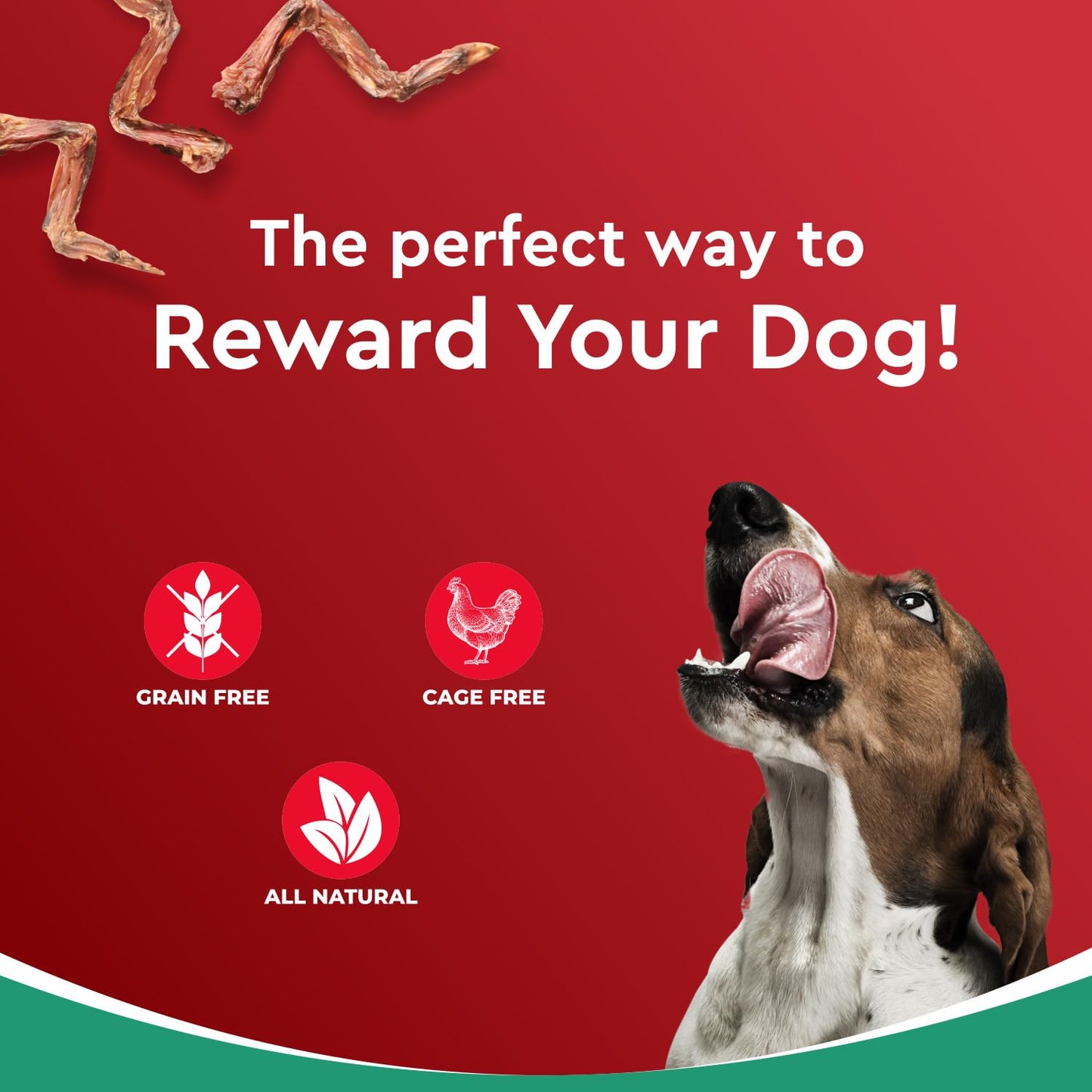 Drools Puppy & Adult Dog Treat Real Chicken Flavour, Dehydrated Chews Wings, 70Gms Pack