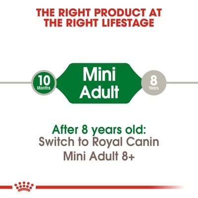 Royal Canin, Mini Adult Dry Dog Food, 8 KG, Supports Weight Management