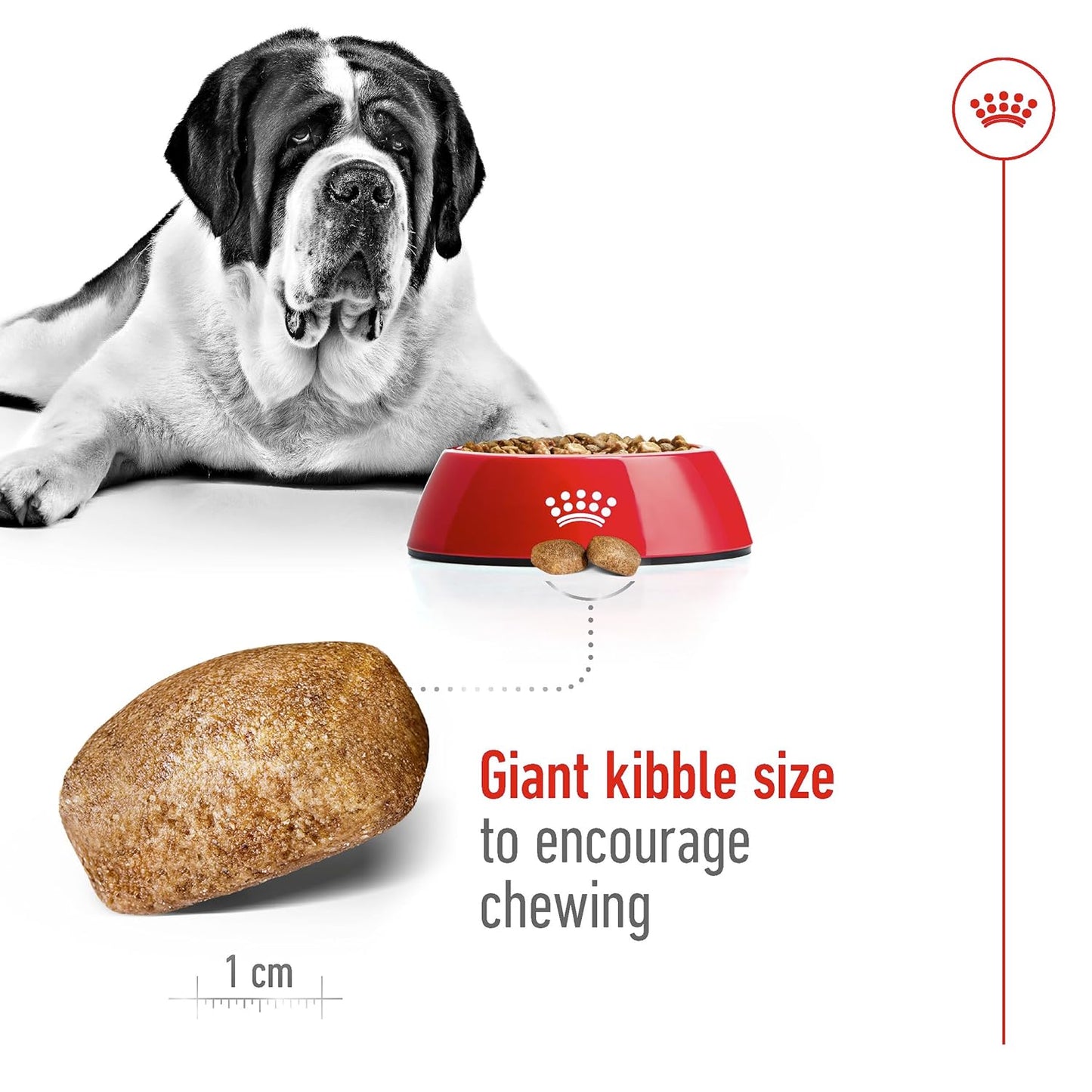 Royal Canin Giant Adult Dry Dog Food, 15 KG Pack, Supports Healthy Joint