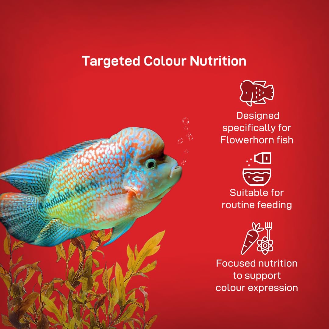 Drools Finsters Flowerhorn Colour Enhancer (L), 100 Gms