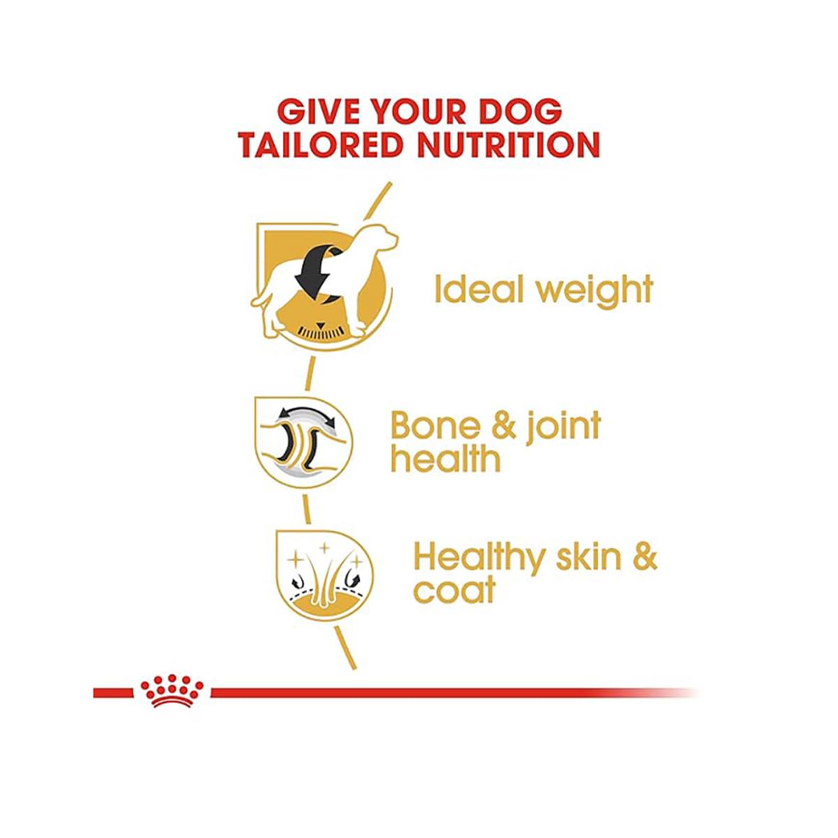 Royal Canin Labrador Retriever Puppy, Dog Food, 3 KG, Growth & Weight Management