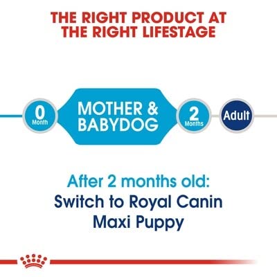 Royal Canin Maxi Starter Mother & Baby dog Food, 4 Kg, Dry Food