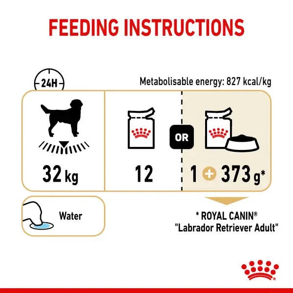 Royal Canin Labrador Retriever Adult Dog Food, Wet Food Pack of 10 Sachet, 140Gm