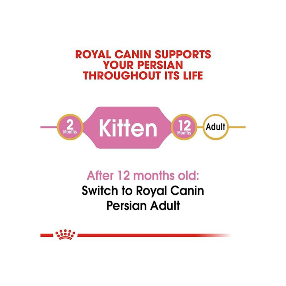 Royal Canin Persian Kitten Food, 4 Kg, Dry Food, Supports Long Hair
