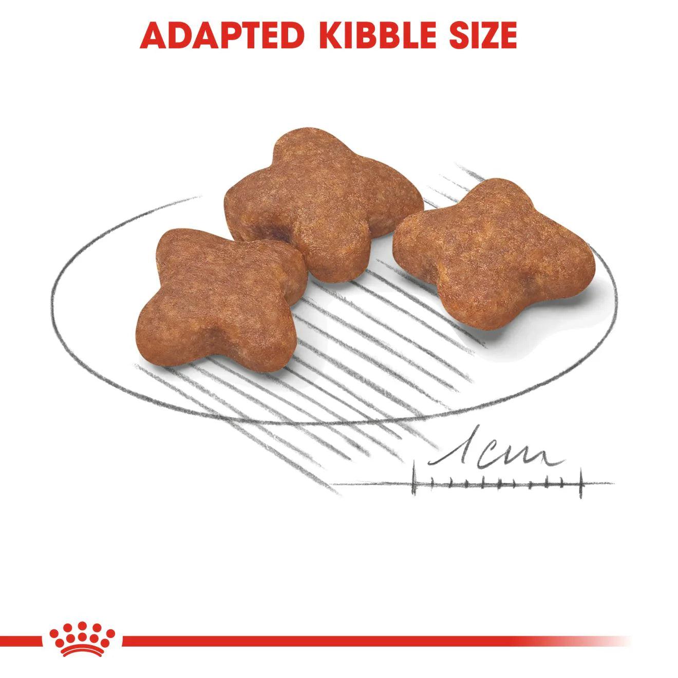 Royal Canin, Mini Adult Dry Dog Food for Senior Dogs (8+ Years), 2 kg