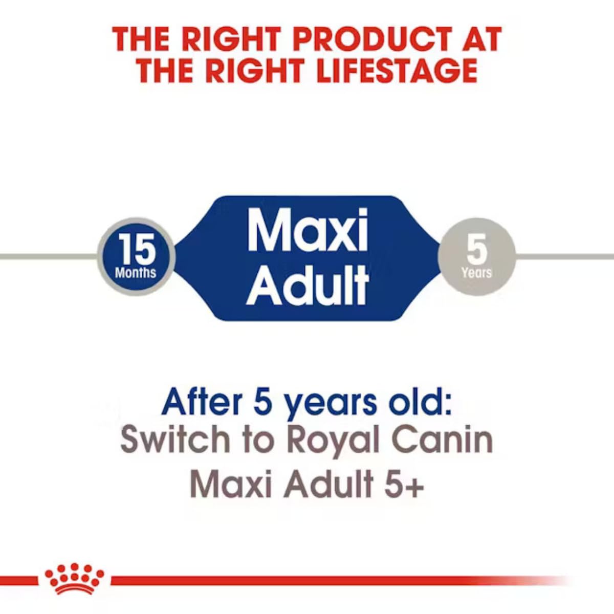 Royal Canin Maxi Adult Dog Food, 4 KG,  Dry Food, Supports Digestive Health