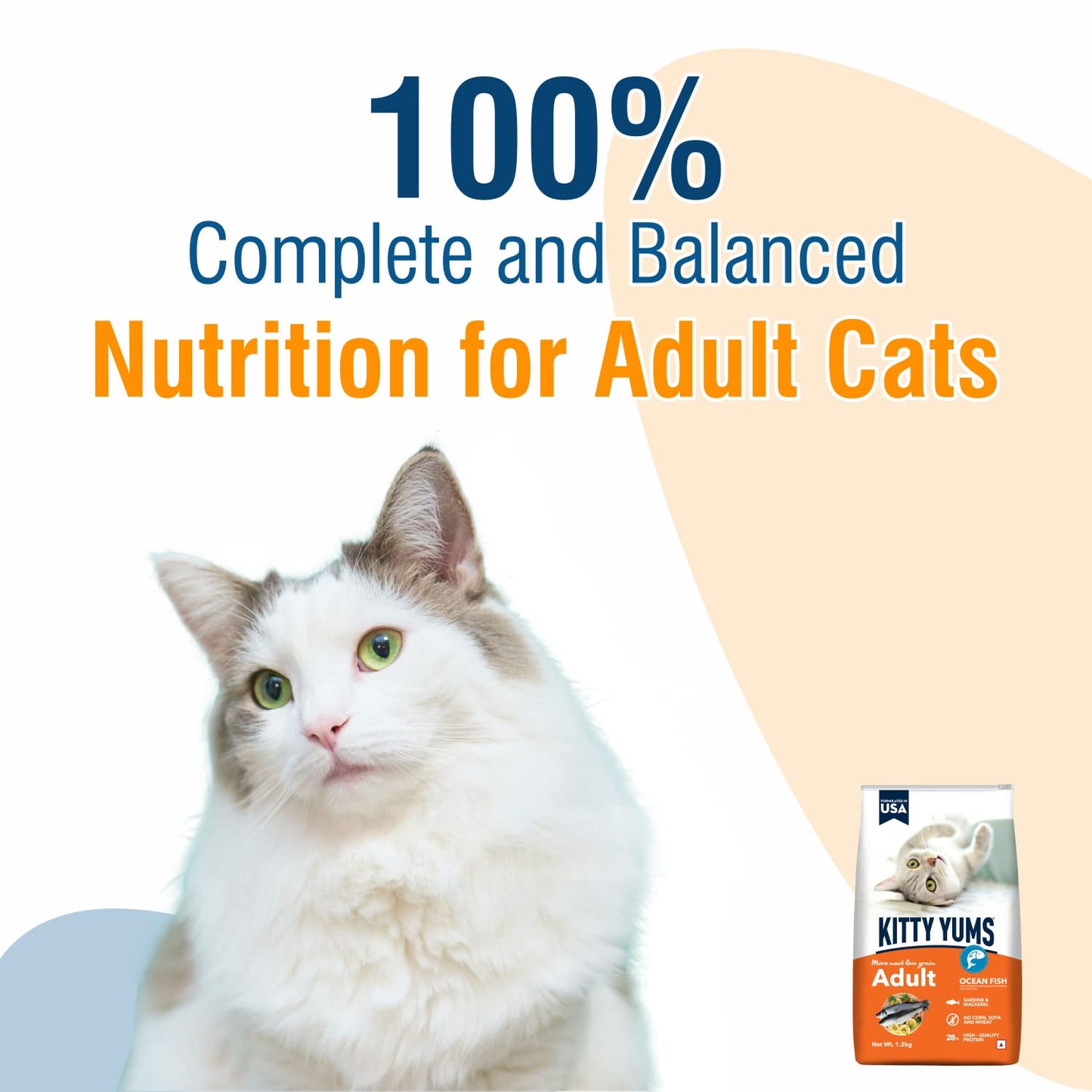 Kitty YUMS Adult (+1 Year) Dry Cat Food, 7 KG Pack, Ocean Fish Flavour
