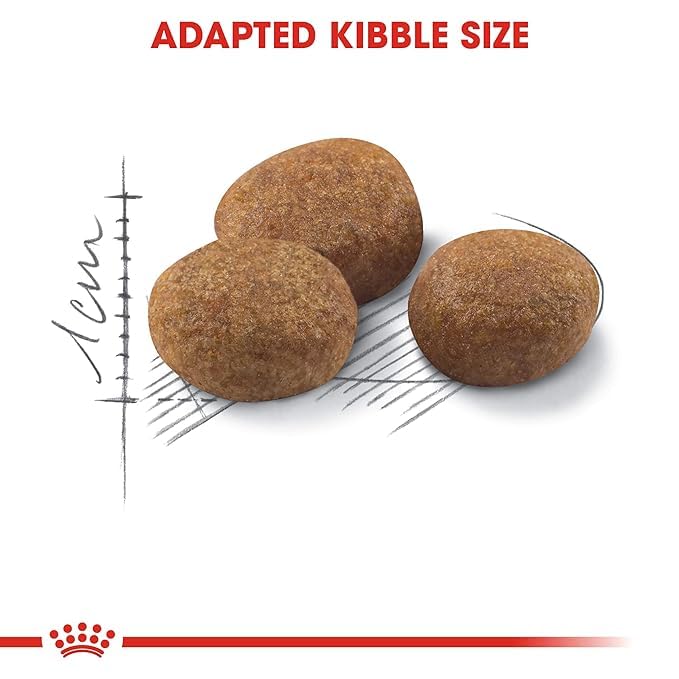 Royal Canin Sterlised for Adult (Age 7+) Cats, 1.5 KG Pack, Supports Vitality Complex