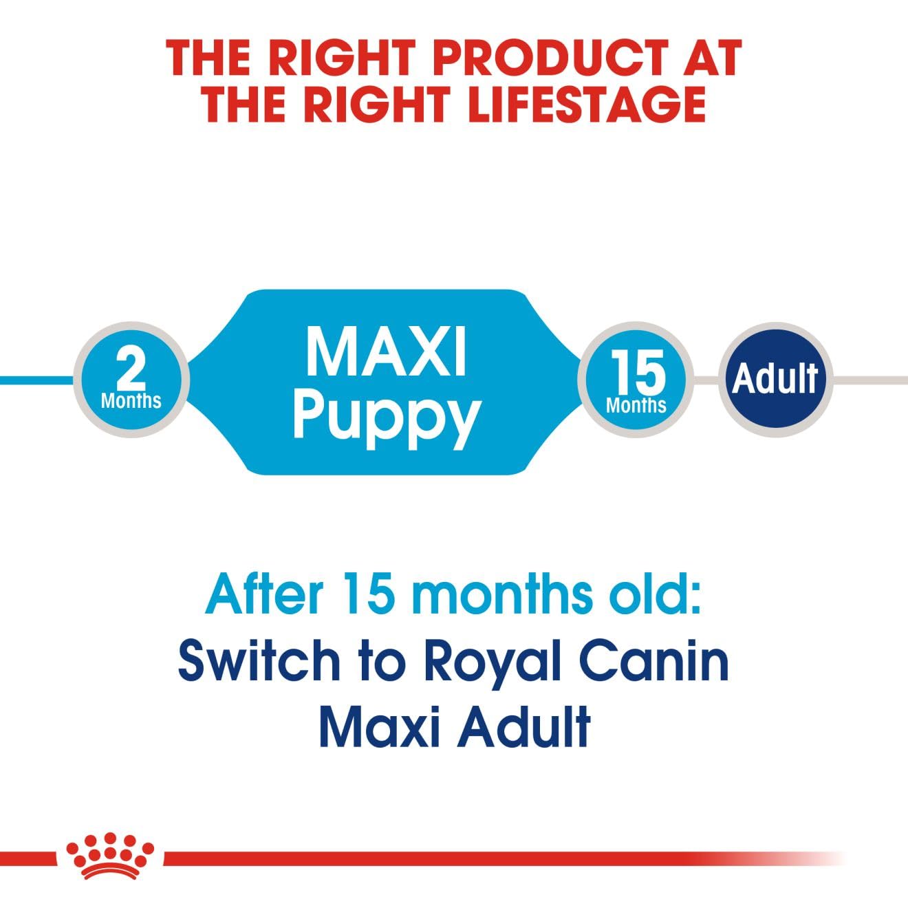 Royal Canin, Maxi Puppy Food, 10 Kg, Dry Food, Immune System & Digestive health