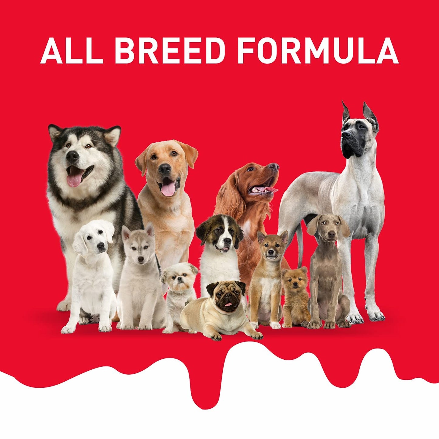 Drools Absolute Dog Bone Treats 300g, 20 Pieces Jar, Milk Flavour