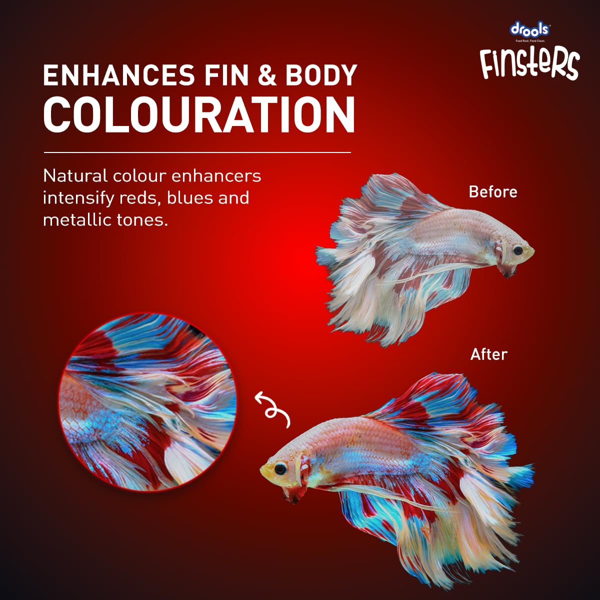 Drools Finsters Betta Fish Food 25 Gms Pouch (Pack of 4), 100 Gms Total
