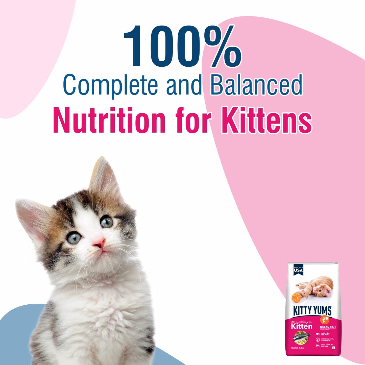 Kitty Yums Kitten (1-12 Months) Dry Cat Food, 7 KG Pack, Ocean Fish Flavour