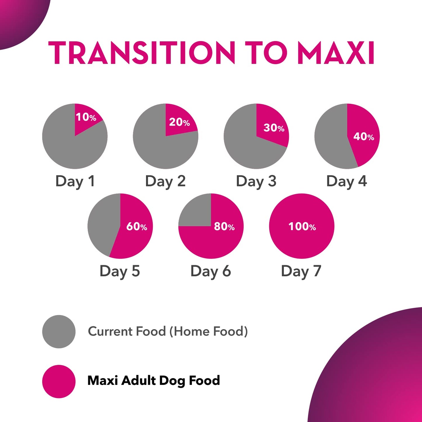 Maxi Adult Dry Dog Food, 20 kg Pack, Chicken and Liver Flavour, Promotes Growth