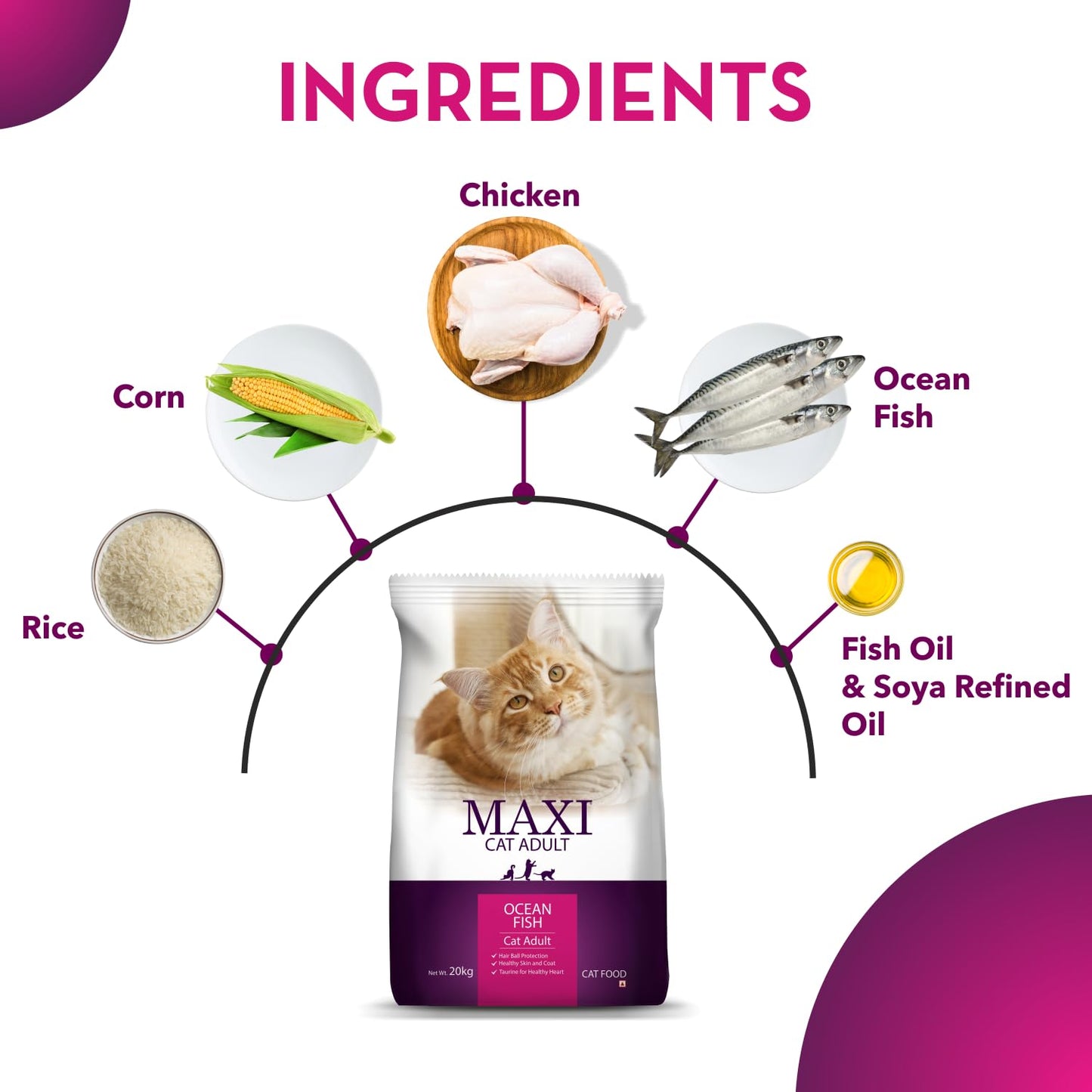 Maxi Ocean Fish Dry Adult Cat Food, 6.5 KG